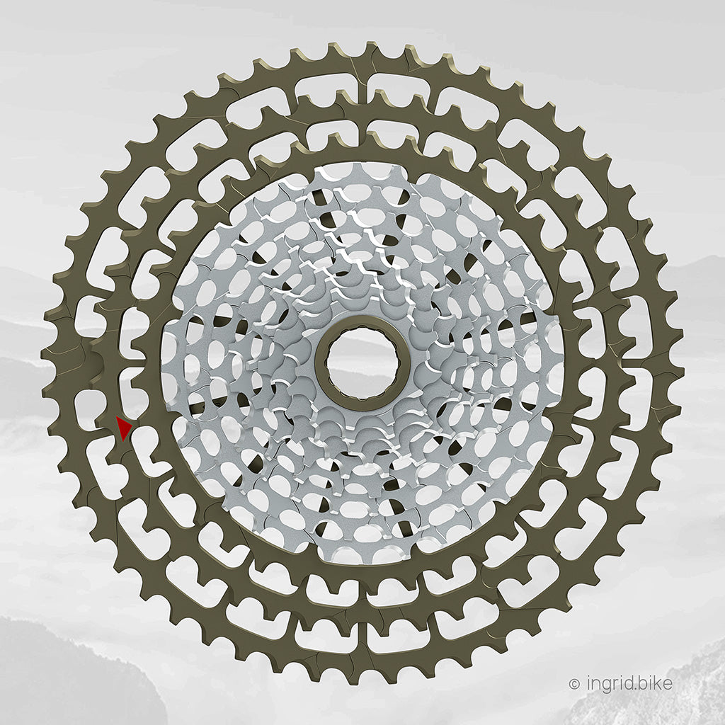 INGRID I Gruppo pignoni 12S 52T10 - MTB (356g)