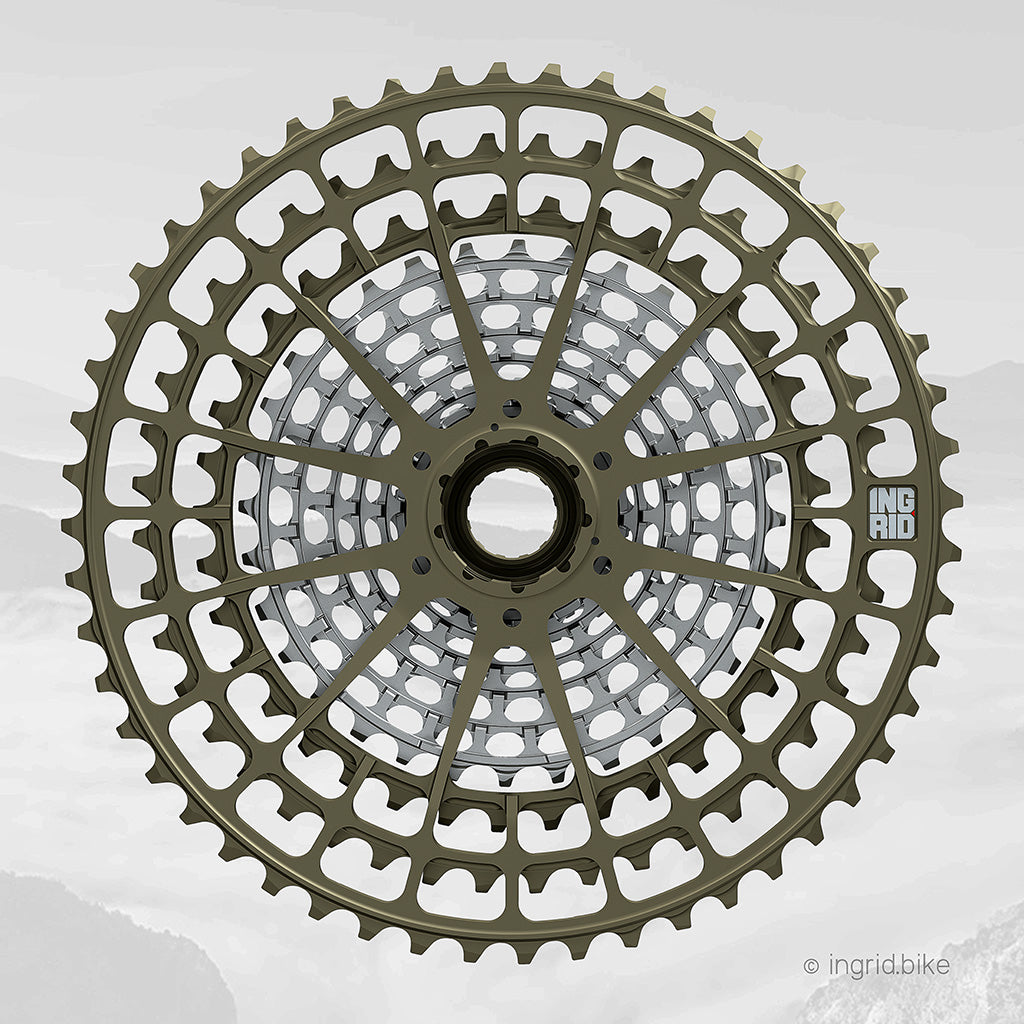 INGRID I Gruppo pignoni 12S 52T10 - MTB (356g)