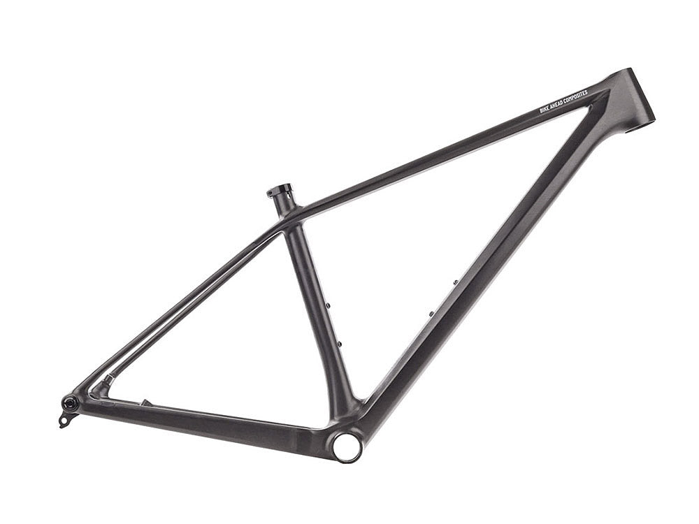 BIKE AHEAD I The frame (770g)
