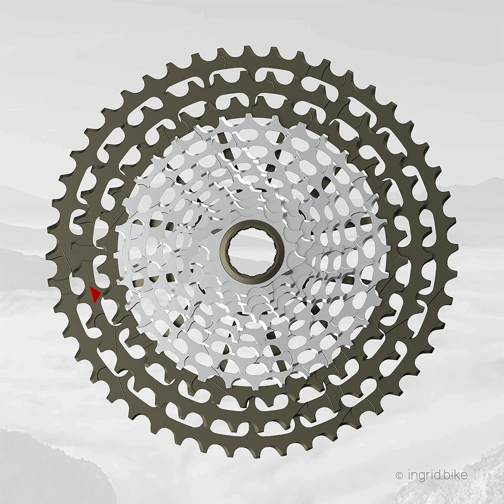 INGRID I Gruppo pignoni 12S 48T10 - MTB Gravel (323g) - RaceFactory™