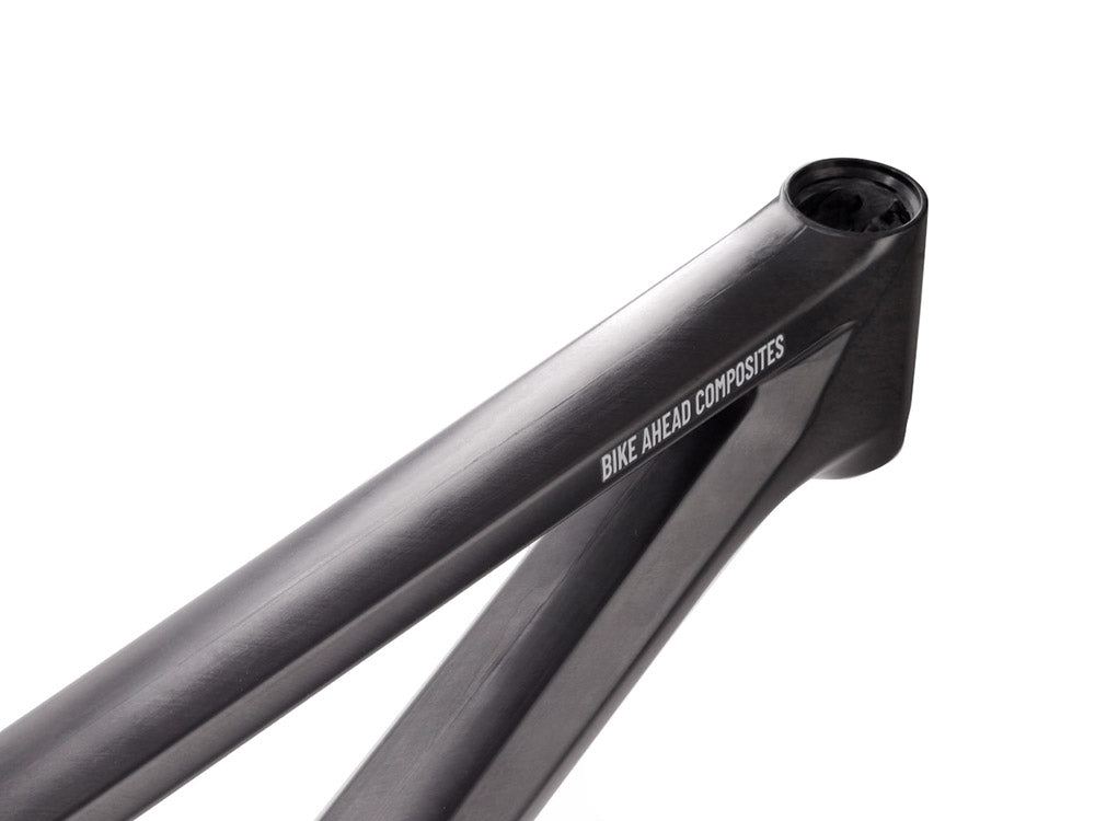 BIKE AHEAD I The frame (770g)