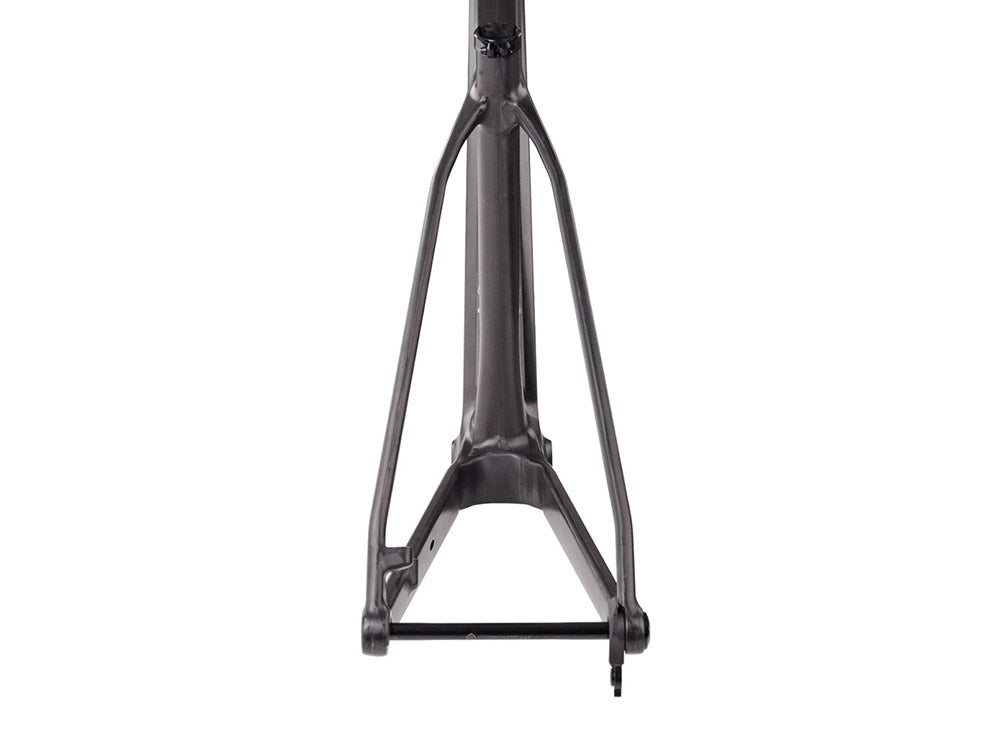 BIKE AHEAD I The frame (770g)